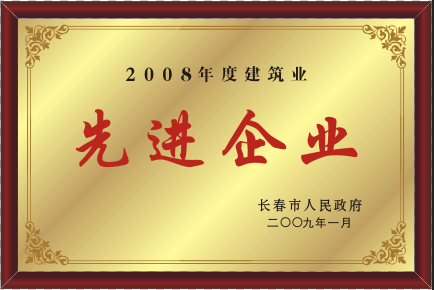2009年先進企業