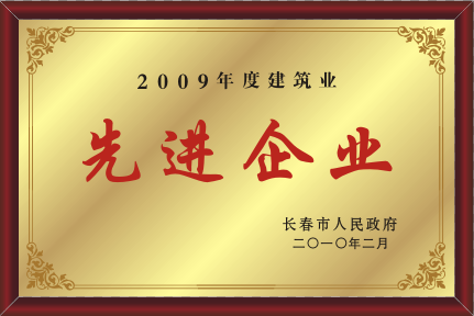 2010年先進企業