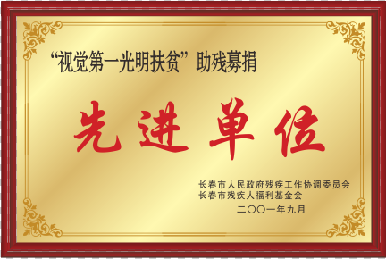 2001視覺第一光明扶貧助殘募捐先進單位