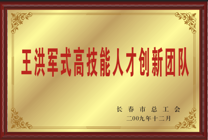 2009年王洪軍式高技能人才創新團隊