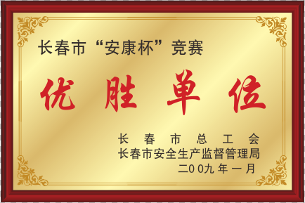 2009年長春市安康杯優勝單位